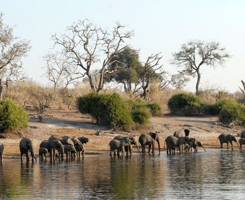 Spedire in Botswana